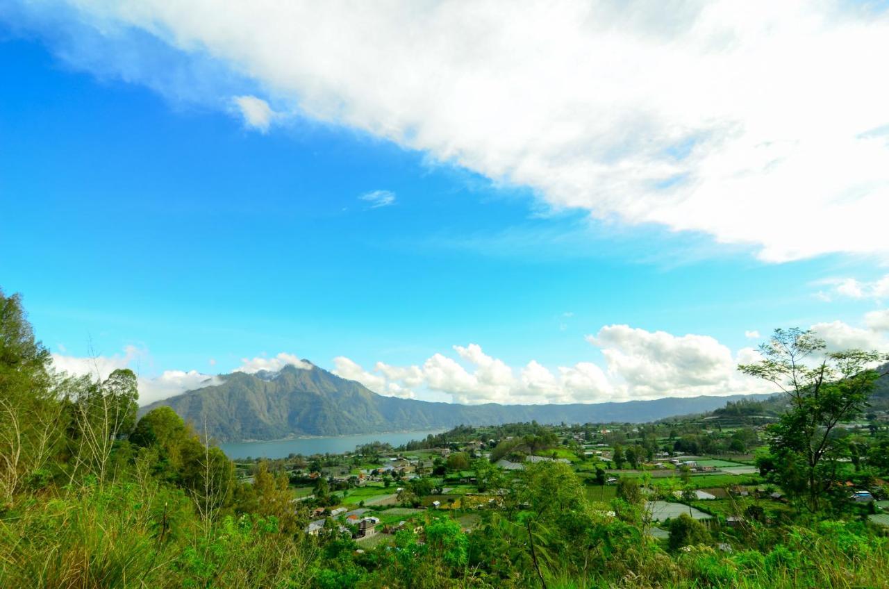 Volcano Lake View Kintamani  Ngoại thất bức ảnh